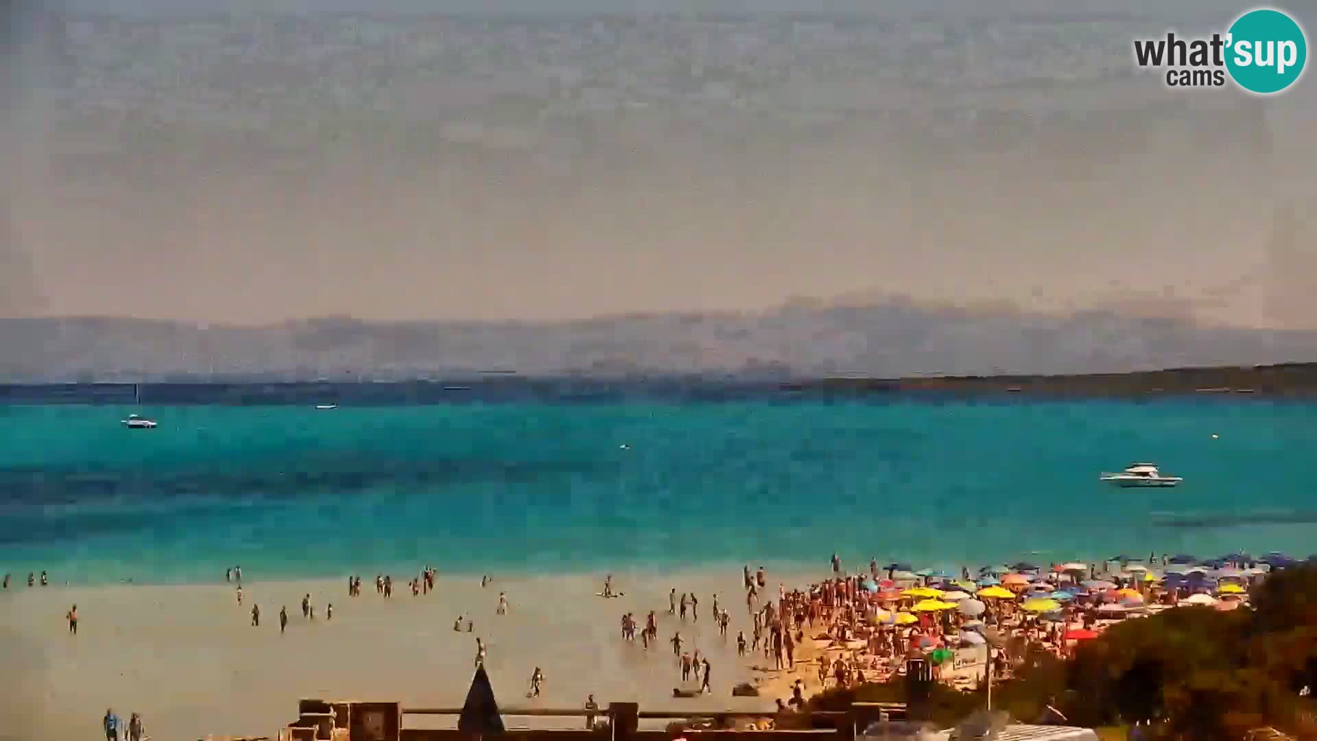 Capo Falcone livecam Stintino – La Pelosa Strand