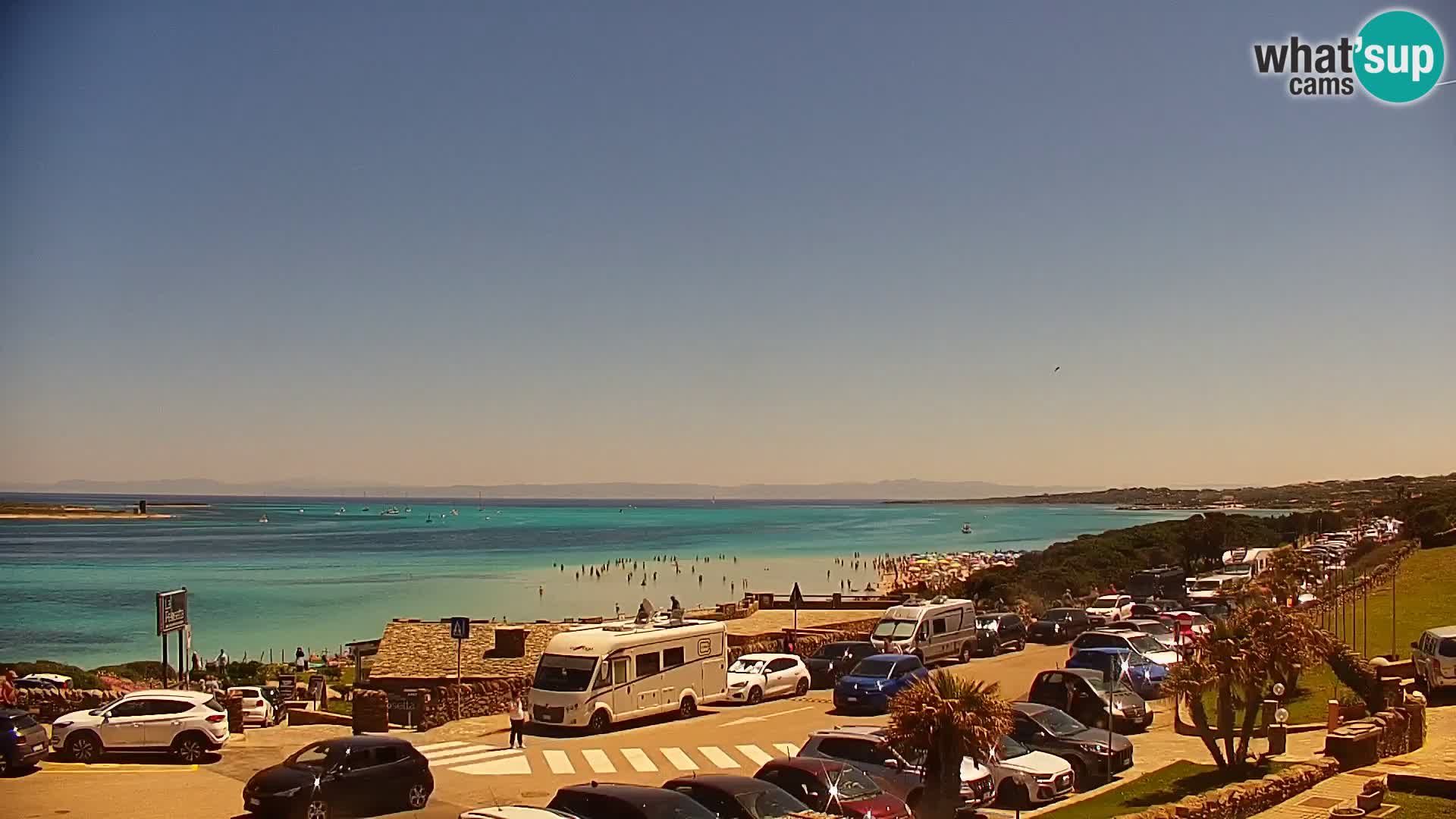 Capo Falcone web kamera Stintino – Plaža La Pelosa