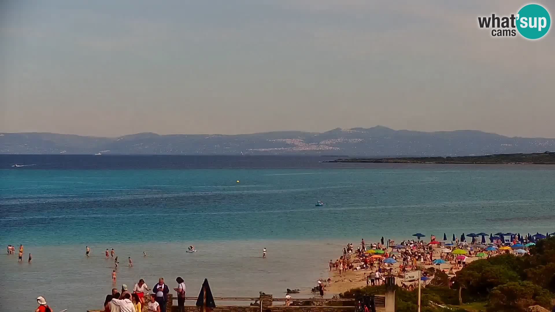 Capo Falcone spletna kamera Stintino – Plaža La Pelosa