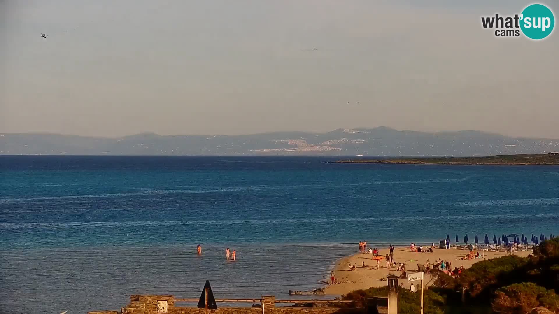 Stintino livecam – La Pelosa beach