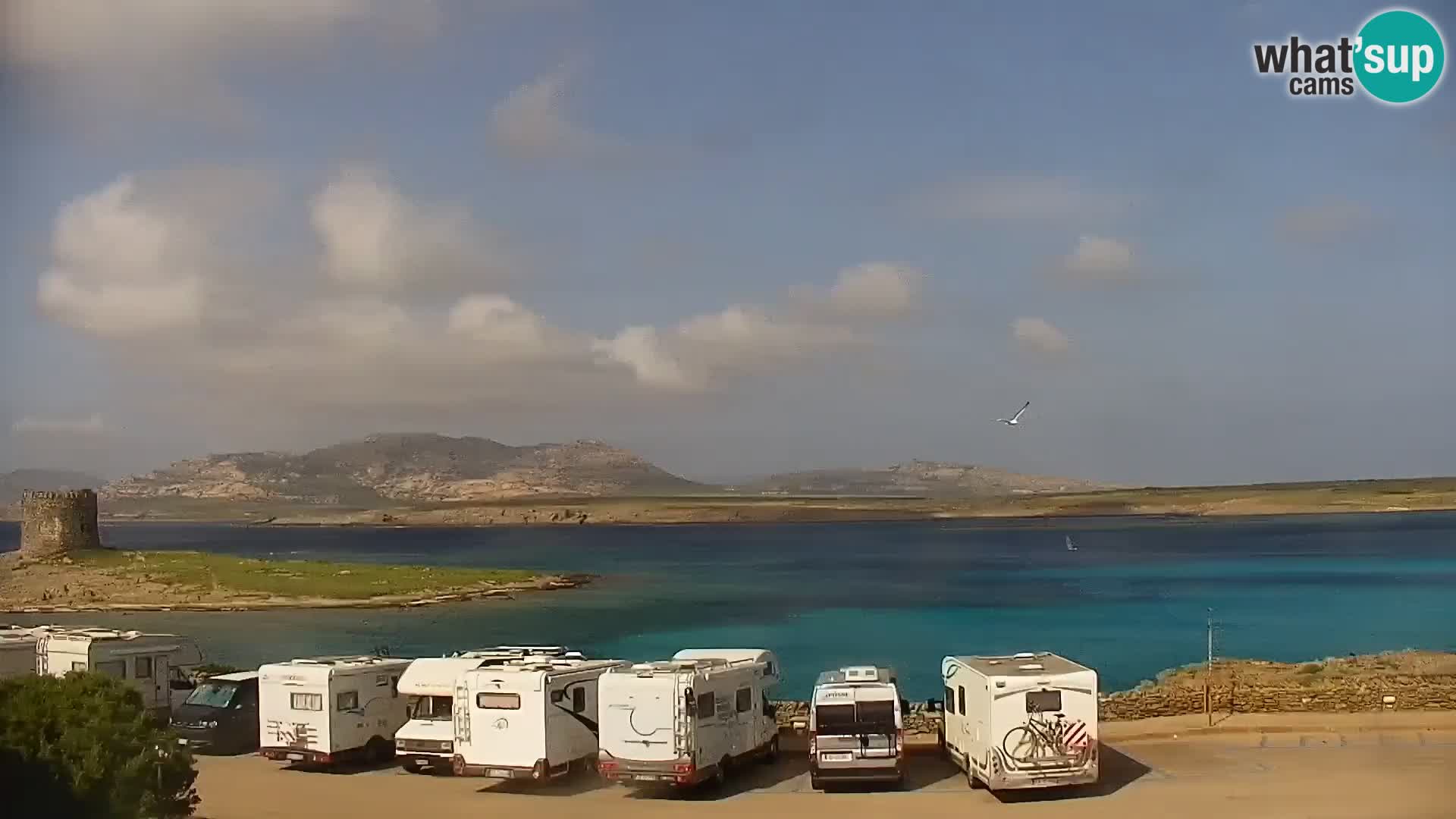 Stintino Webcam en direct Plage de La Pelosa – Sardaigne – Italie