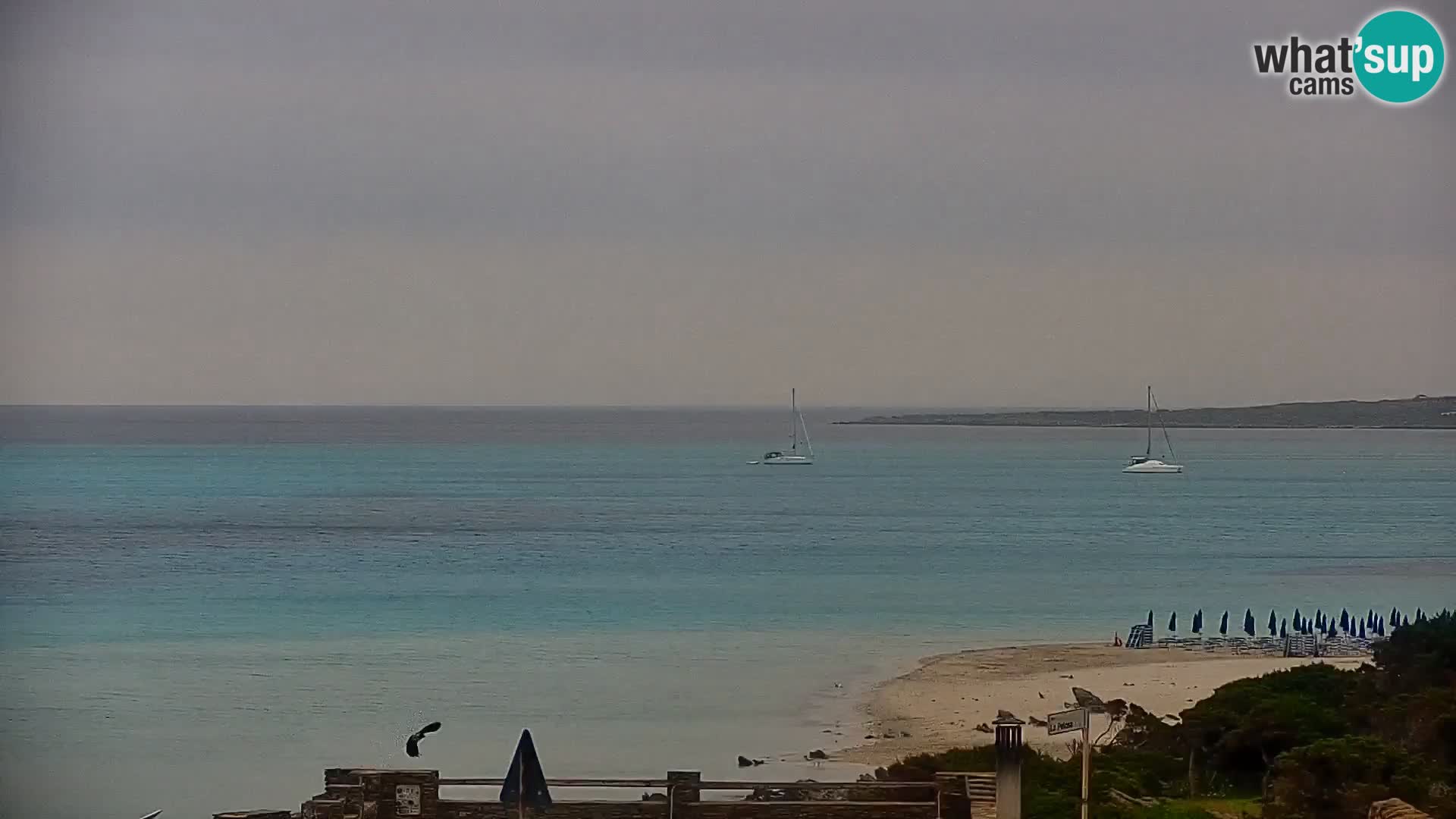 Stintino Cámara web en vivo Playa de La Pelosa – Cerdeña – Italia