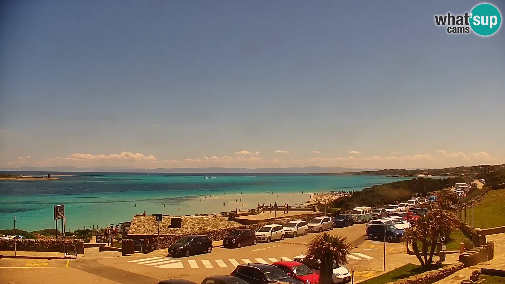 Stintino Live Webcam La Pelosa Strand – Sardinien – Italien