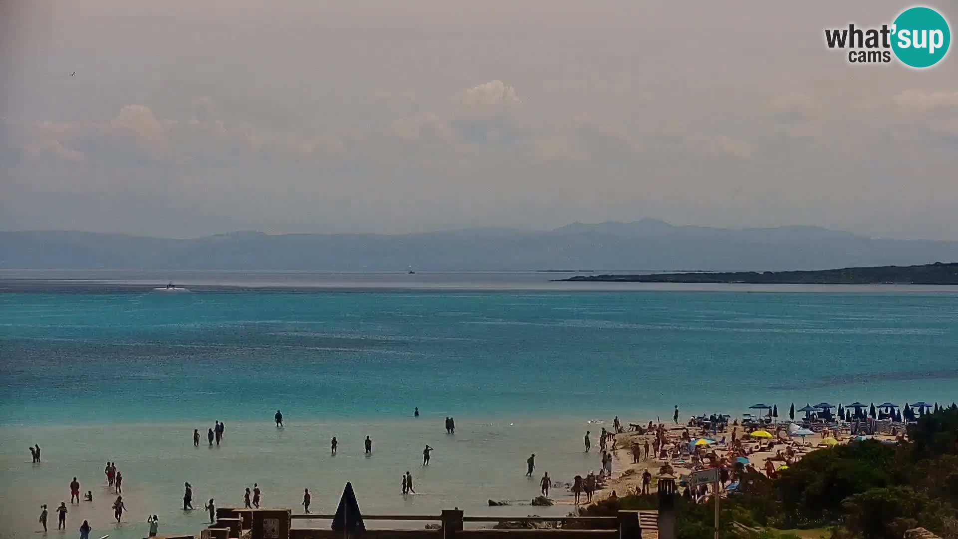Capo Falcone livecam Stintino – La Pelosa Strand