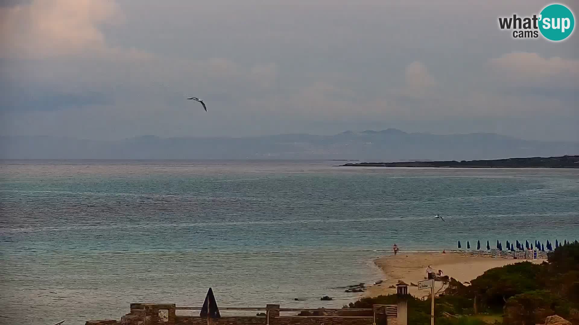Stintino Cámara web en vivo Playa de La Pelosa – Cerdeña – Italia