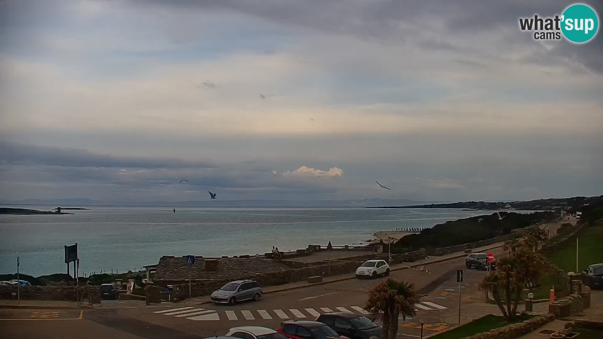 Stintino Cámara web en vivo Playa de La Pelosa – Cerdeña – Italia