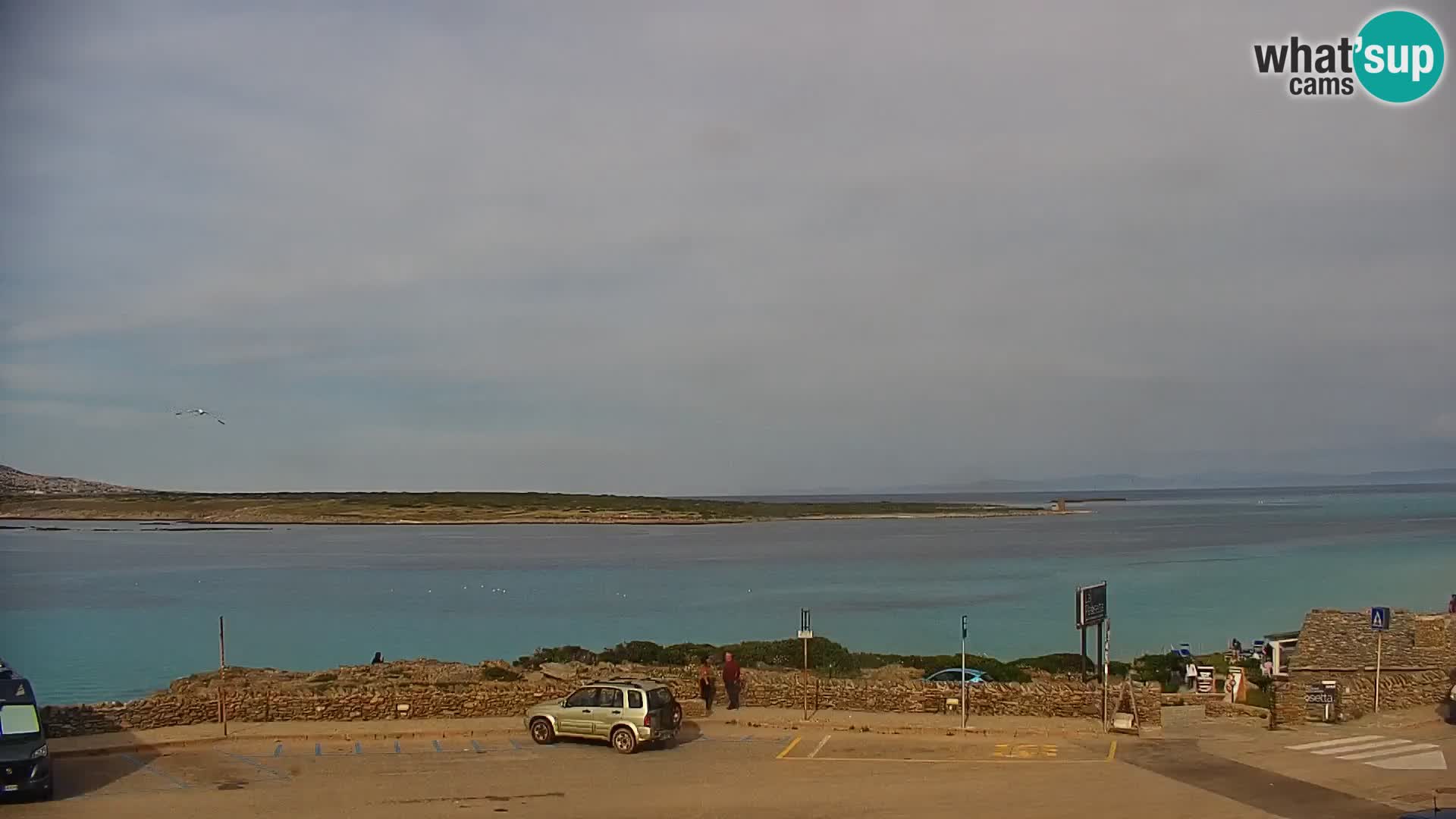 Capo Falcone spletna kamera Stintino – Plaža La Pelosa