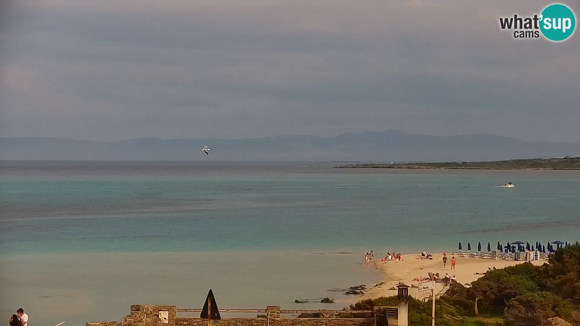 Stintino Webcam en direct Plage de La Pelosa – Sardaigne – Italie