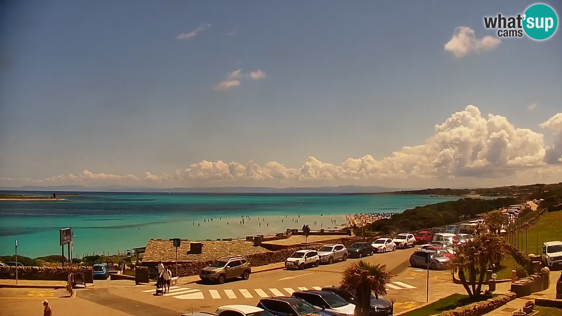 Capo Falcone livecam Stintino – La Pelosa Strand