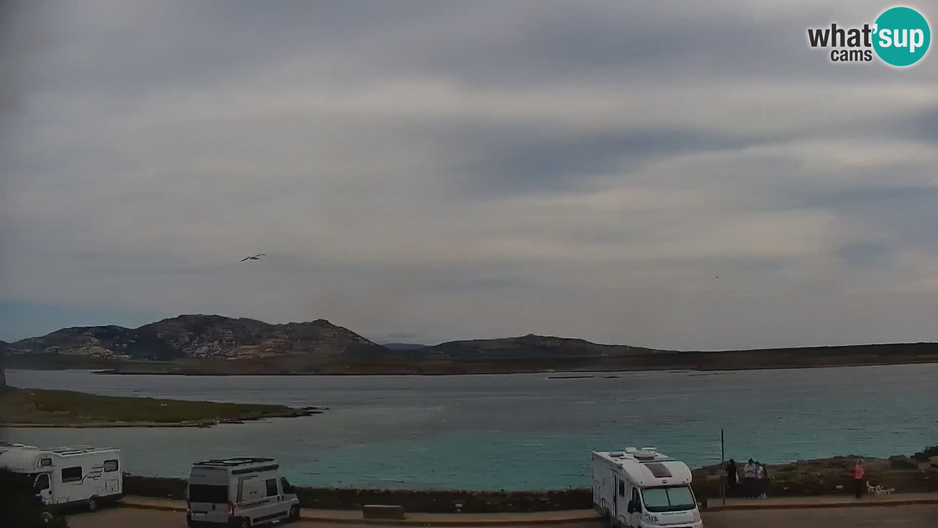 Stintino livecam – La Pelosa beach