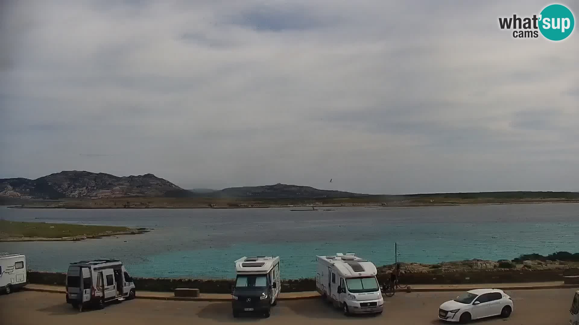 Stintino livecam – La Pelosa beach