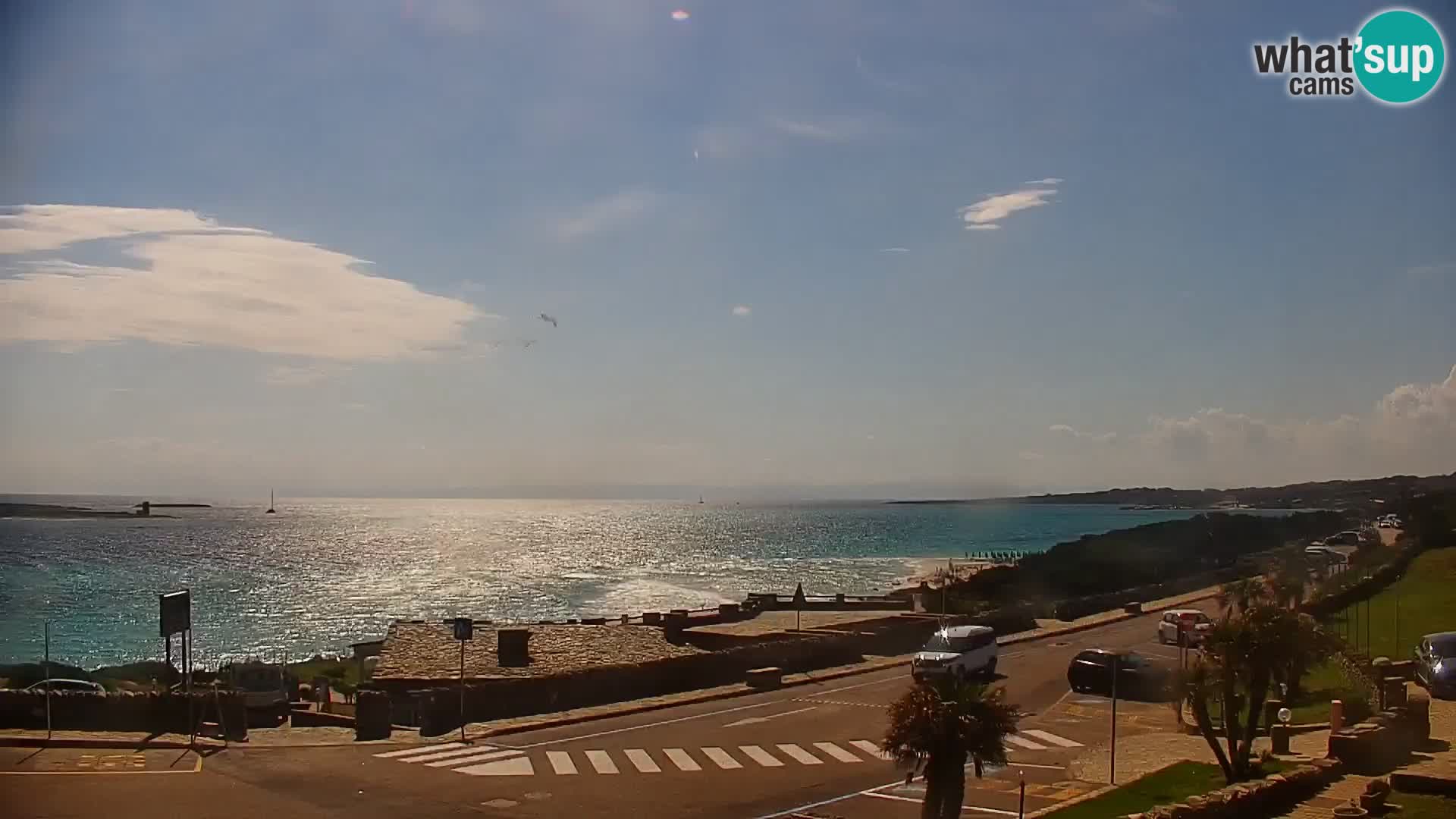 Stintino Live webcam Spiaggia La Pelosa – Sardegna