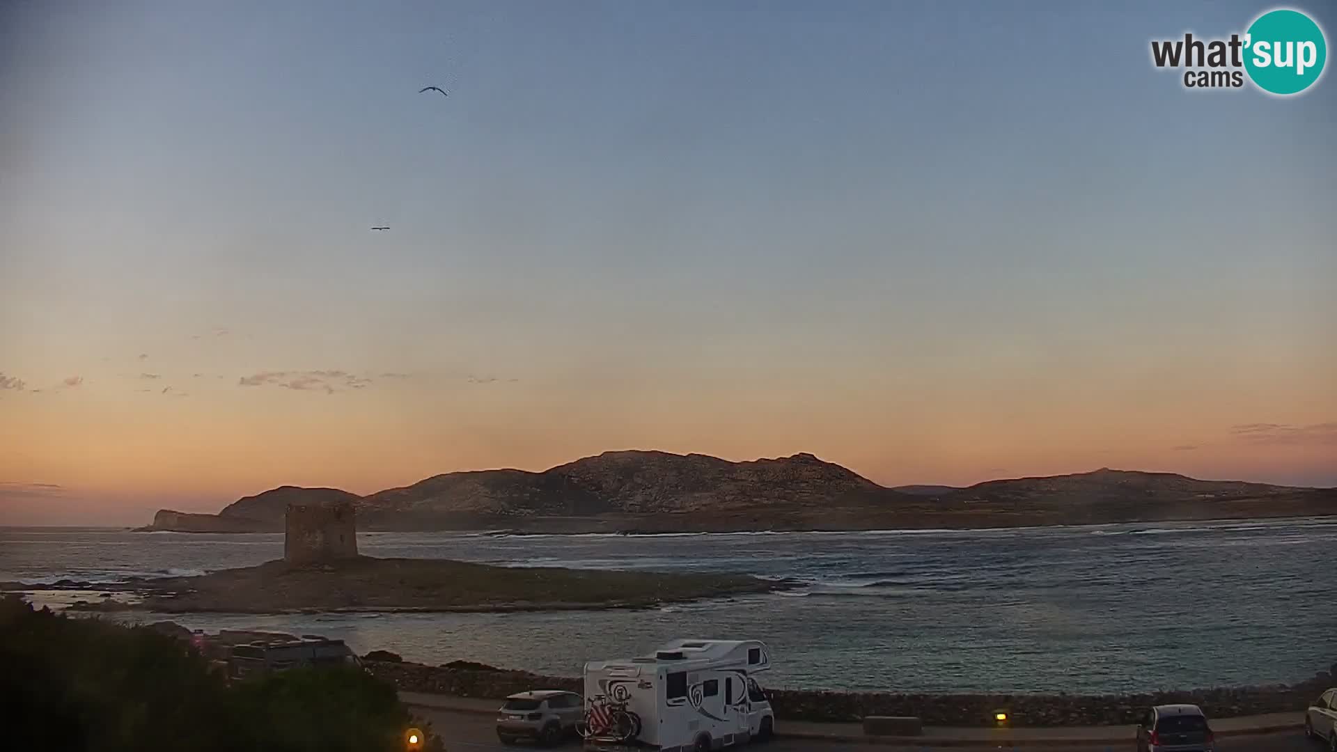 Capo Falcone web kamera Stintino – Plaža La Pelosa