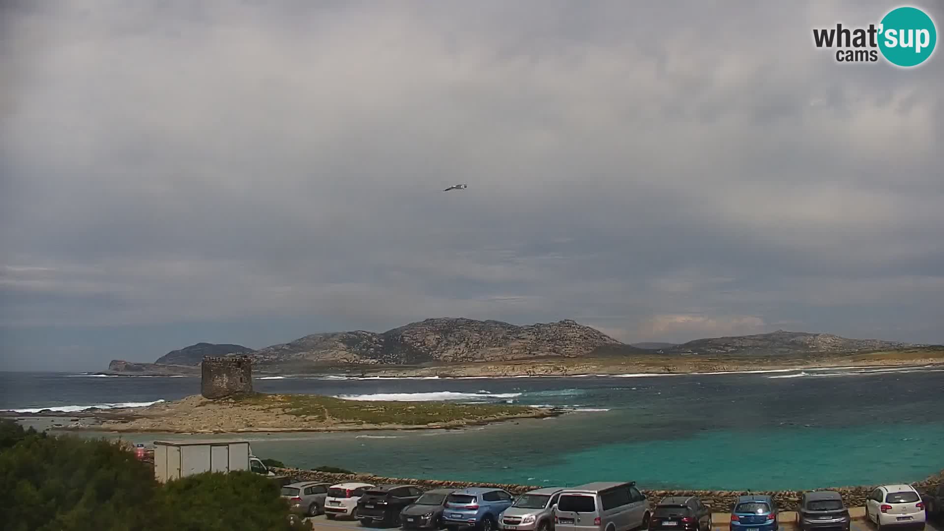 Stintino Spletna kamera v živo Plaža La Pelosa – Sardinija – Italija