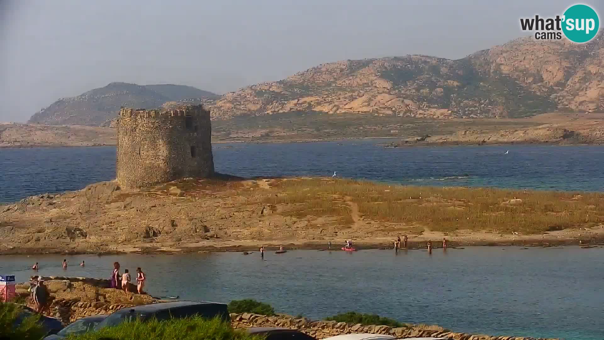 Stintino Live Webcam La Pelosa Strand – Sardinien – Italien