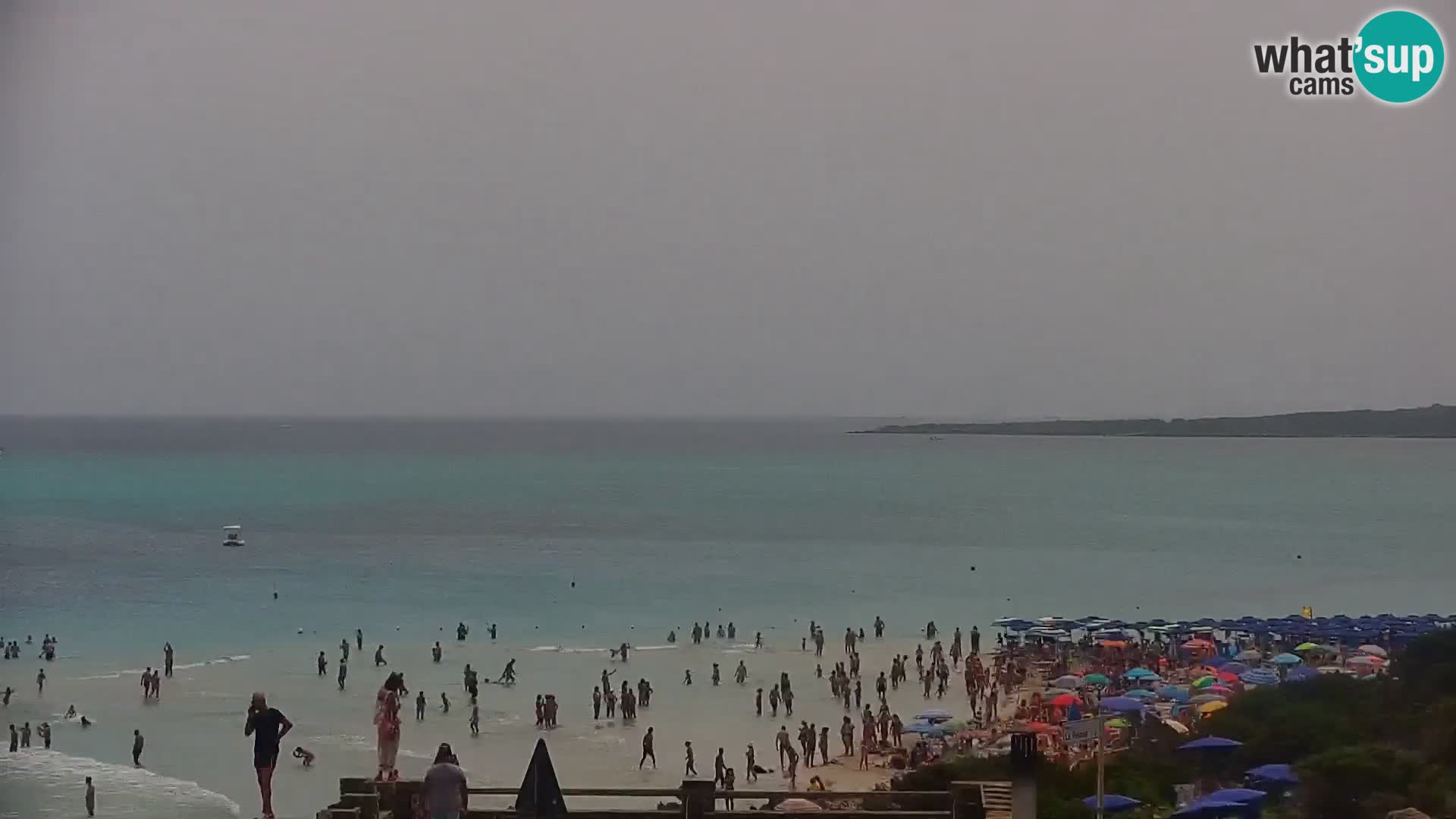 Stintino Live Webcam La Pelosa Strand – Sardinien – Italien