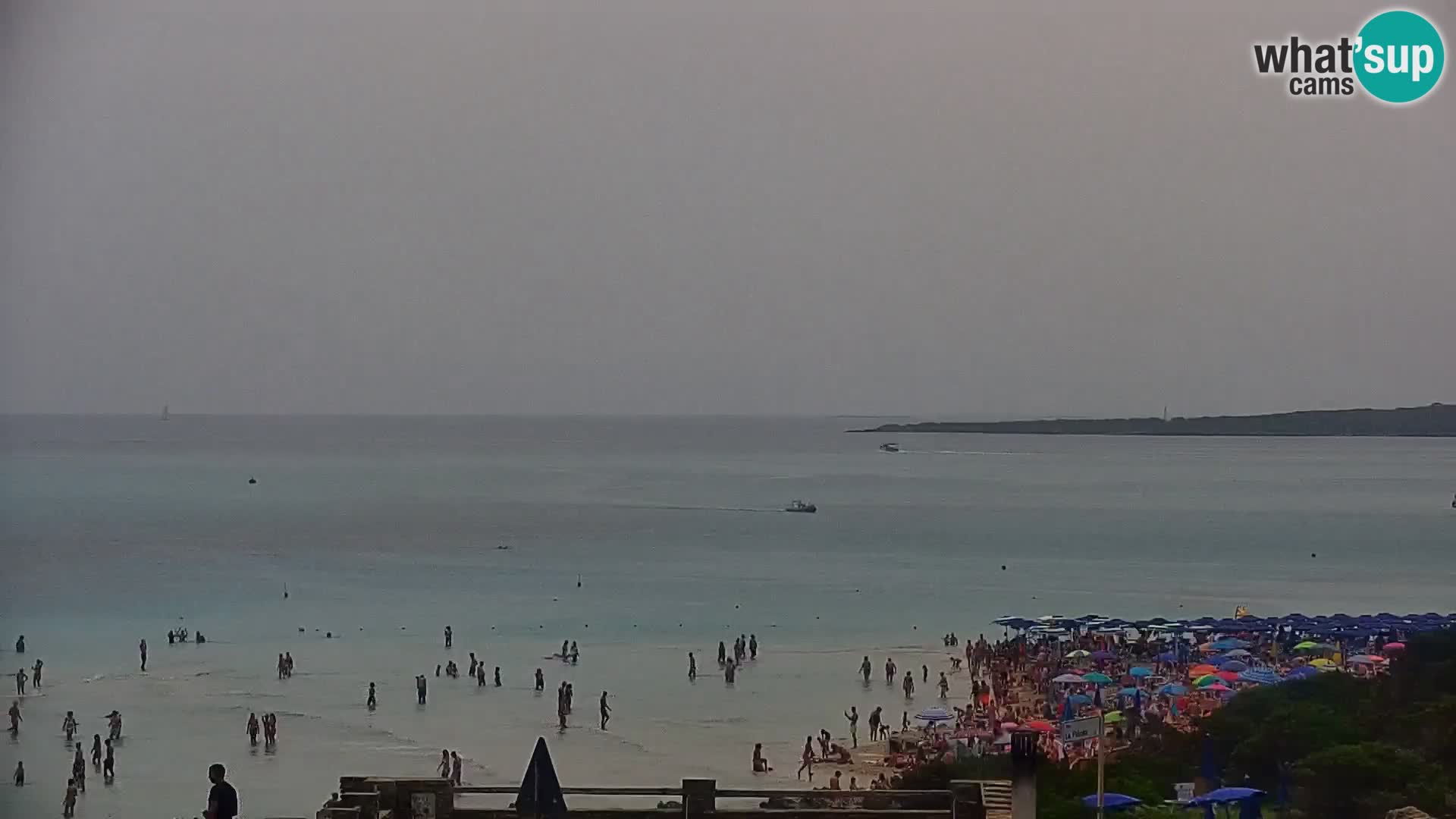 Capo Falcone spletna kamera Stintino – Plaža La Pelosa