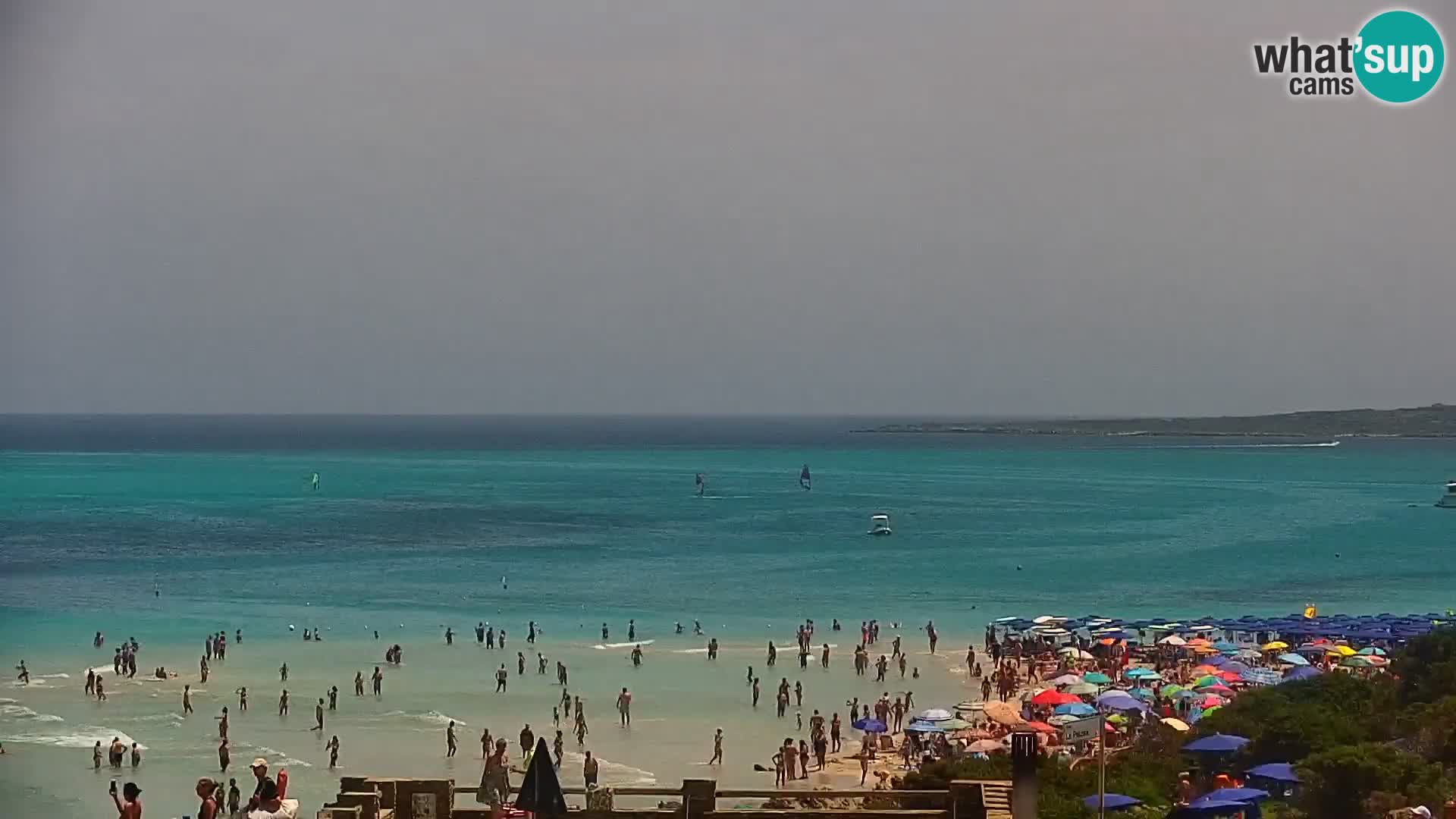 Capo Falcone livecam Stintino – La Pelosa Strand