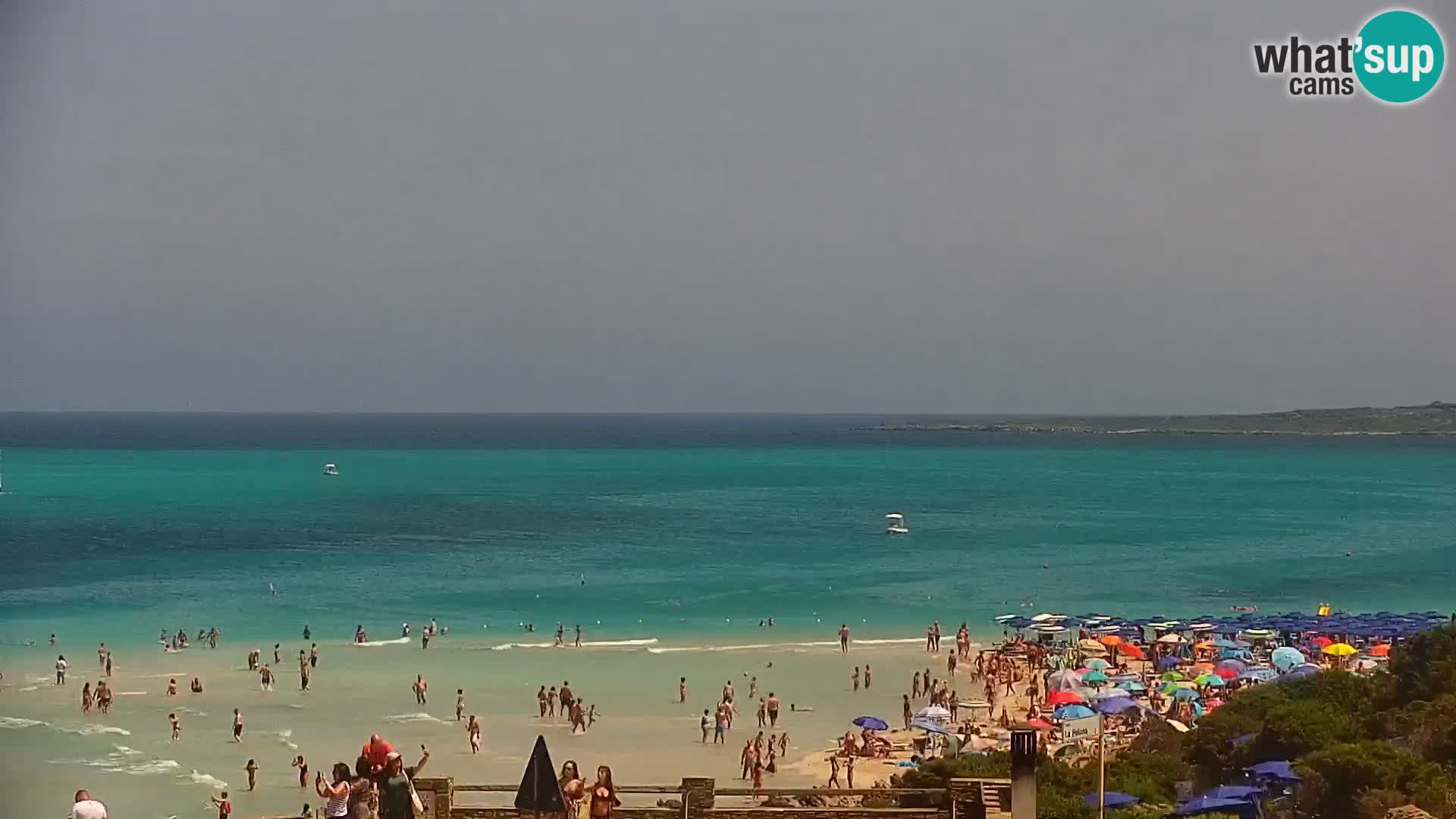 Stintino Spletna kamera v živo Plaža La Pelosa – Sardinija – Italija