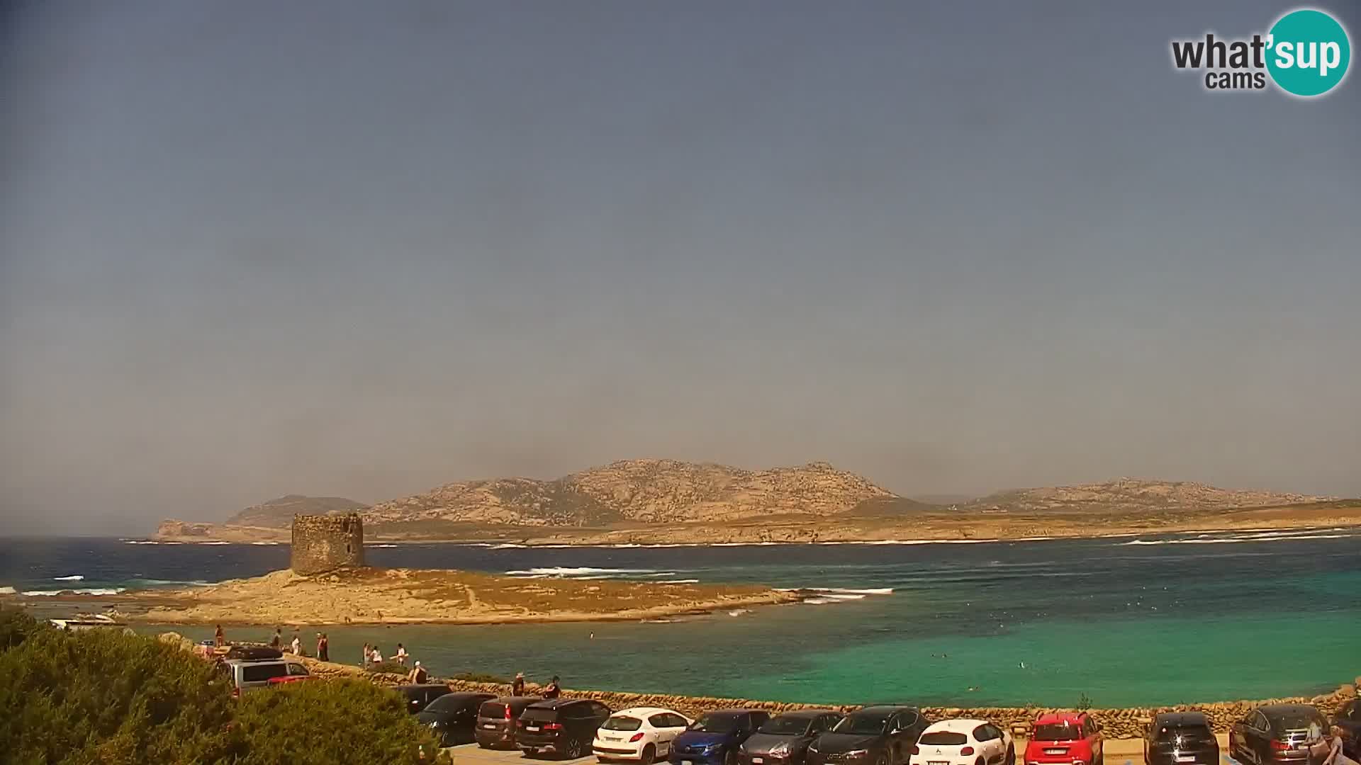 Capo Falcone webcam Stintino – Spiaggia La Pelosa