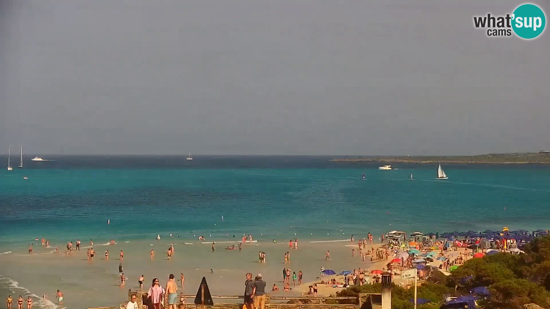 Capo Falcone spletna kamera Stintino – Plaža La Pelosa