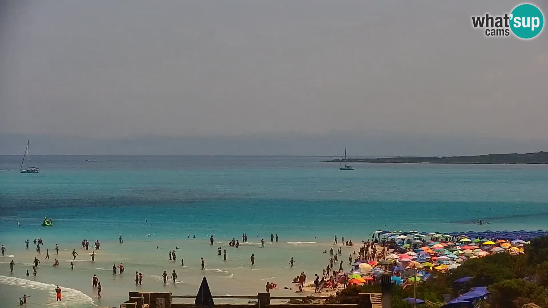 Stintino livecam – La Pelosa beach