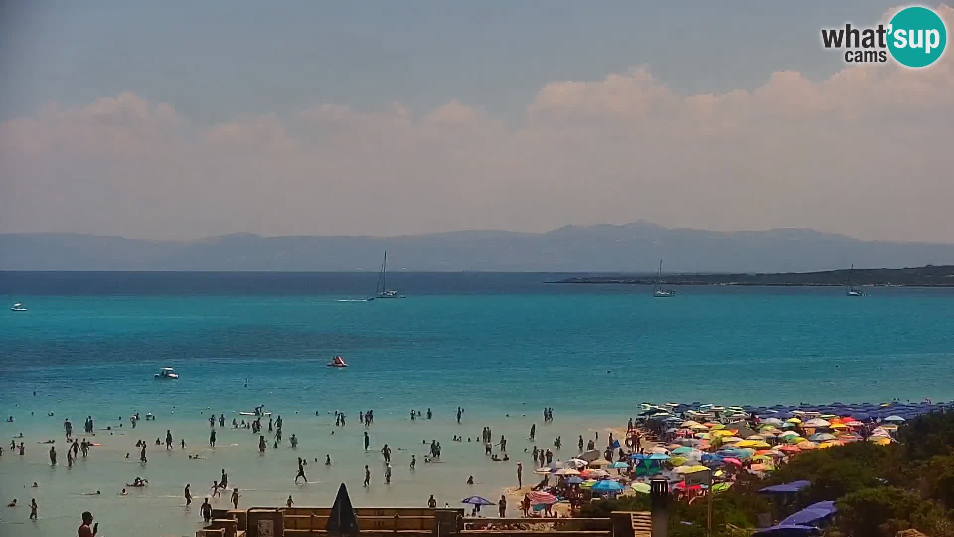 Stintino Live webcam La Pelosa beach – Sardinia – Italy