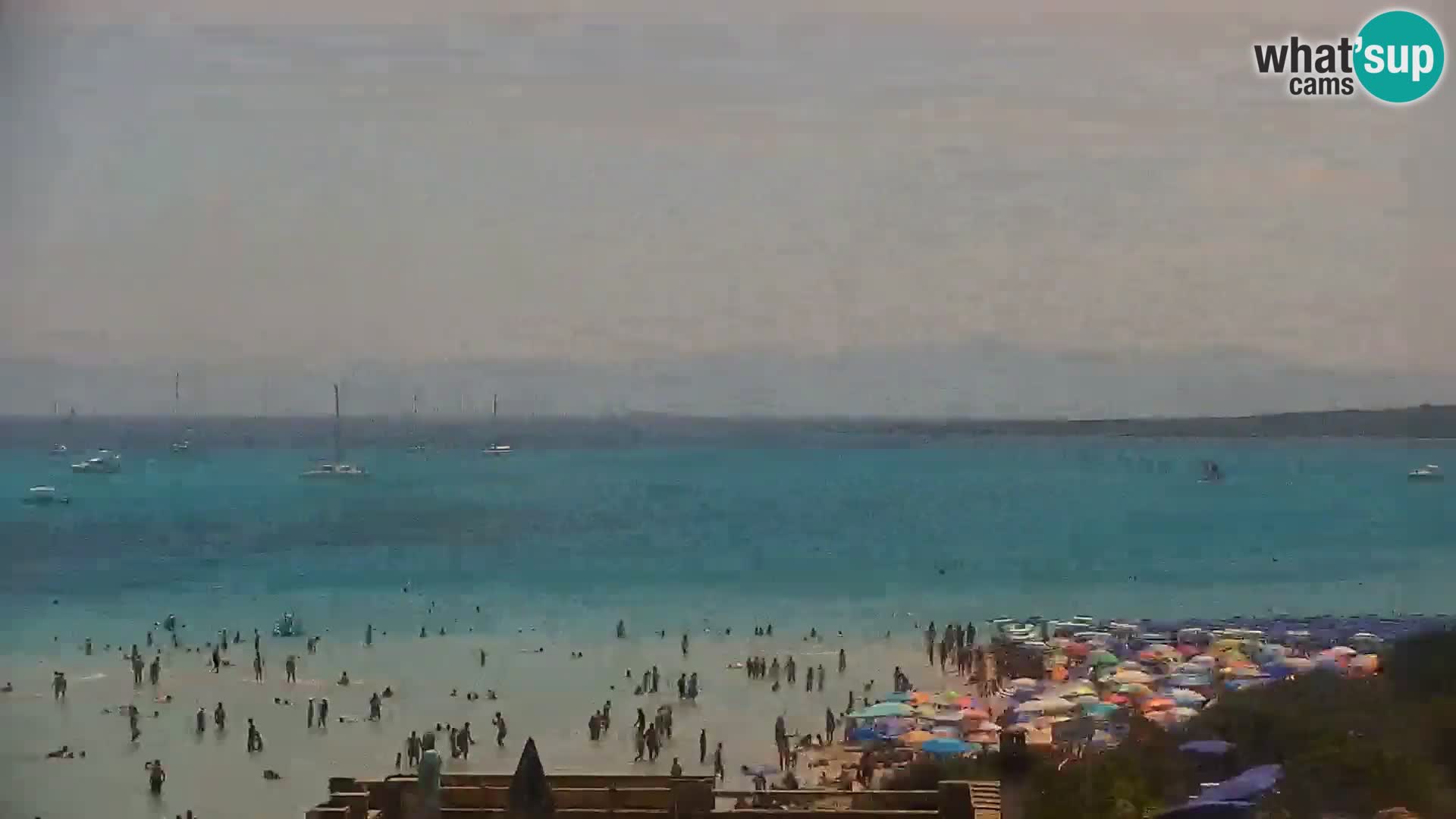 Capo Falcone livecam Stintino – La Pelosa Strand