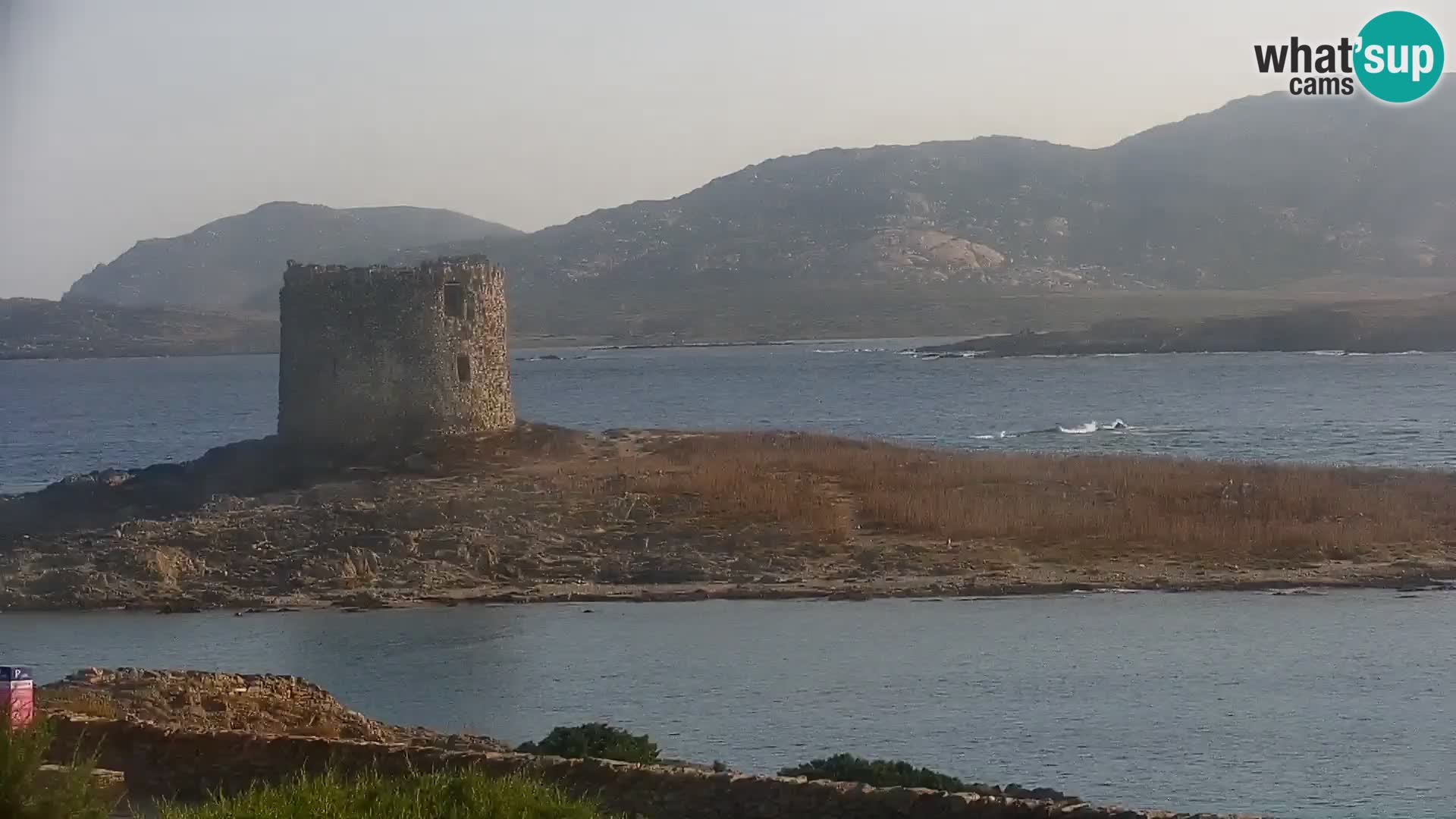 Capo Falcone livecam Stintino – La Pelosa Strand