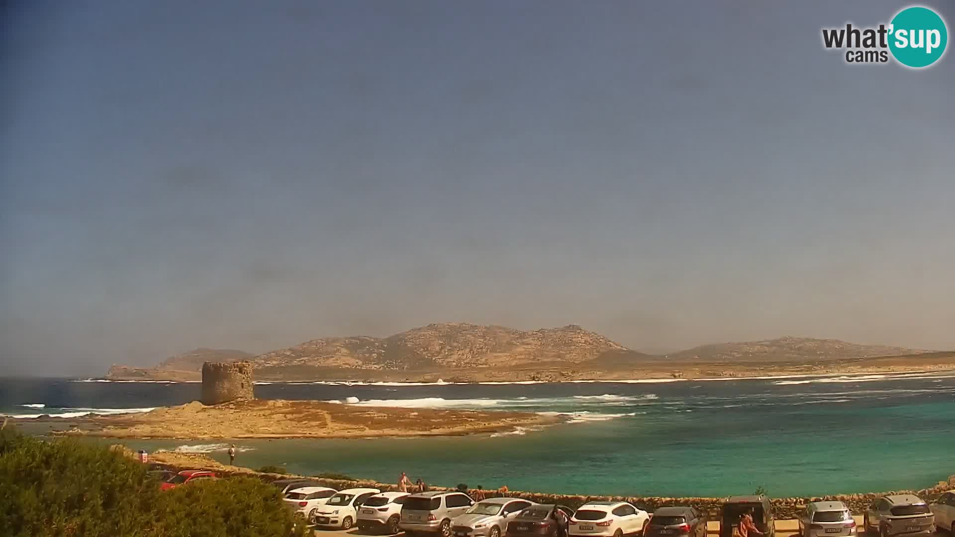 Stintino Live Webcam La Pelosa Strand – Sardinien – Italien