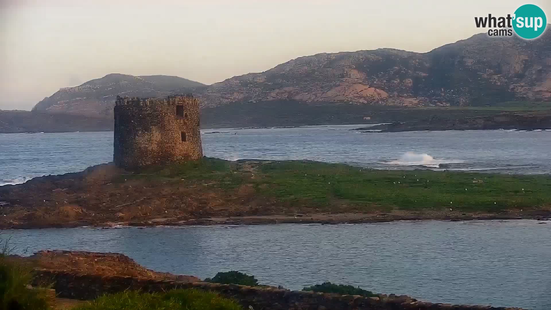 Stintino Web kamera uživo plaža La Pelosa – Sardinija – Italija