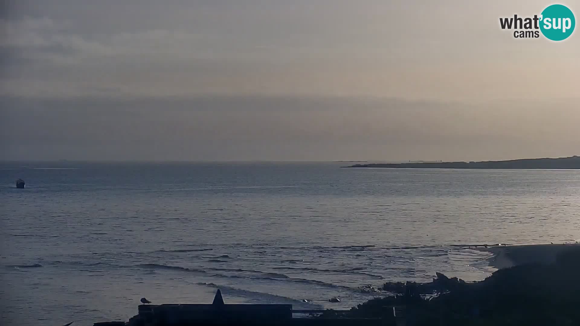 Stintino Live Webcam La Pelosa Strand – Sardinien – Italien