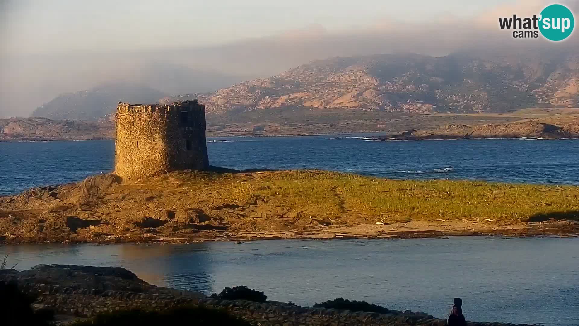 Stintino Live Webcam La Pelosa Strand – Sardinien – Italien