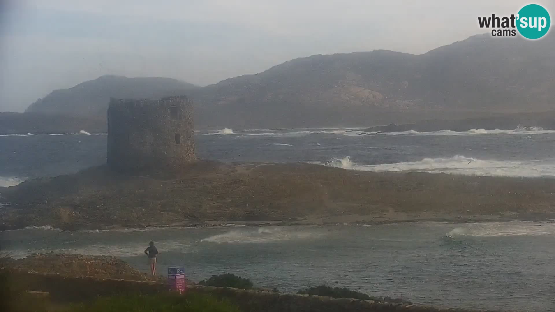 Stintino Webcam en direct Plage de La Pelosa – Sardaigne – Italie