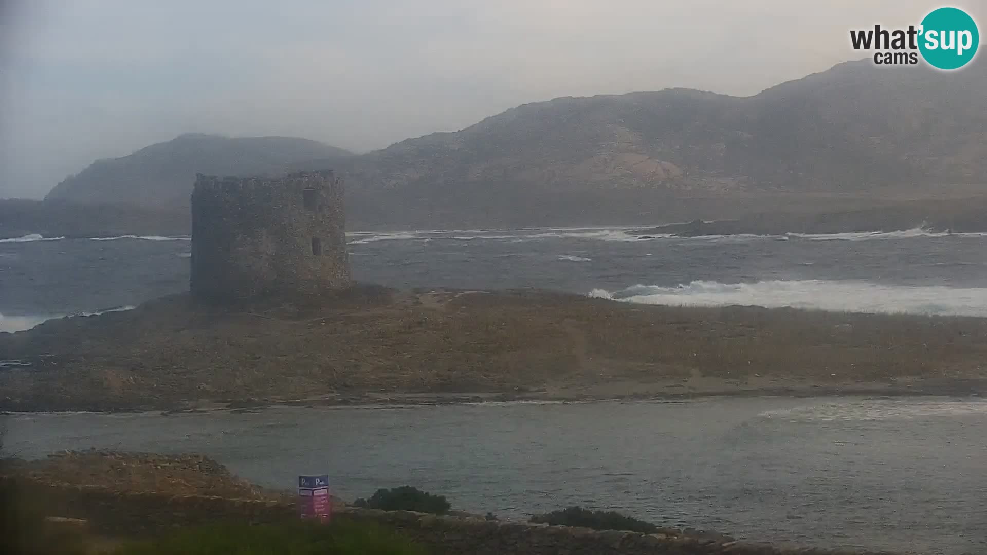 Stintino Live webcam Spiaggia La Pelosa – Sardegna