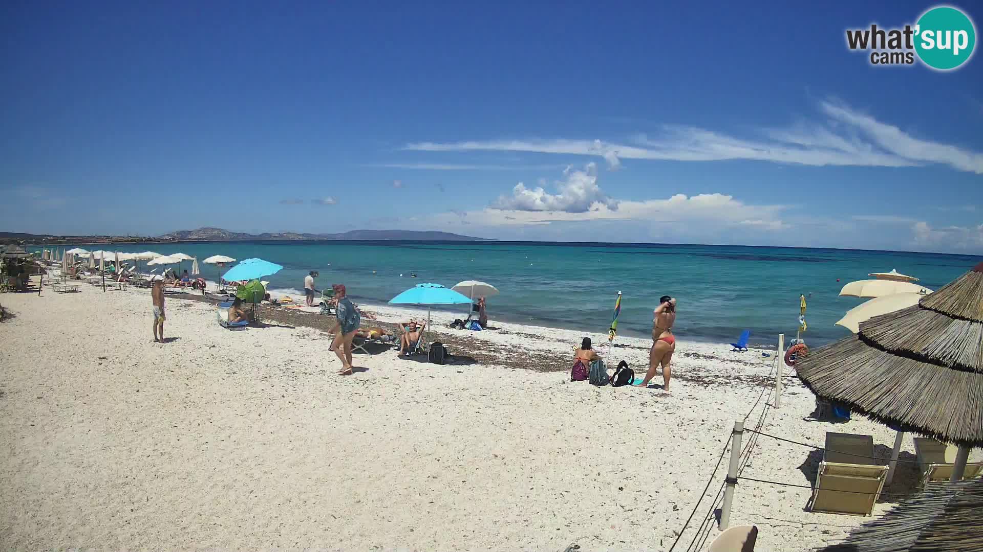 Web kamera plaža Le Saline Stintino | Sardinija