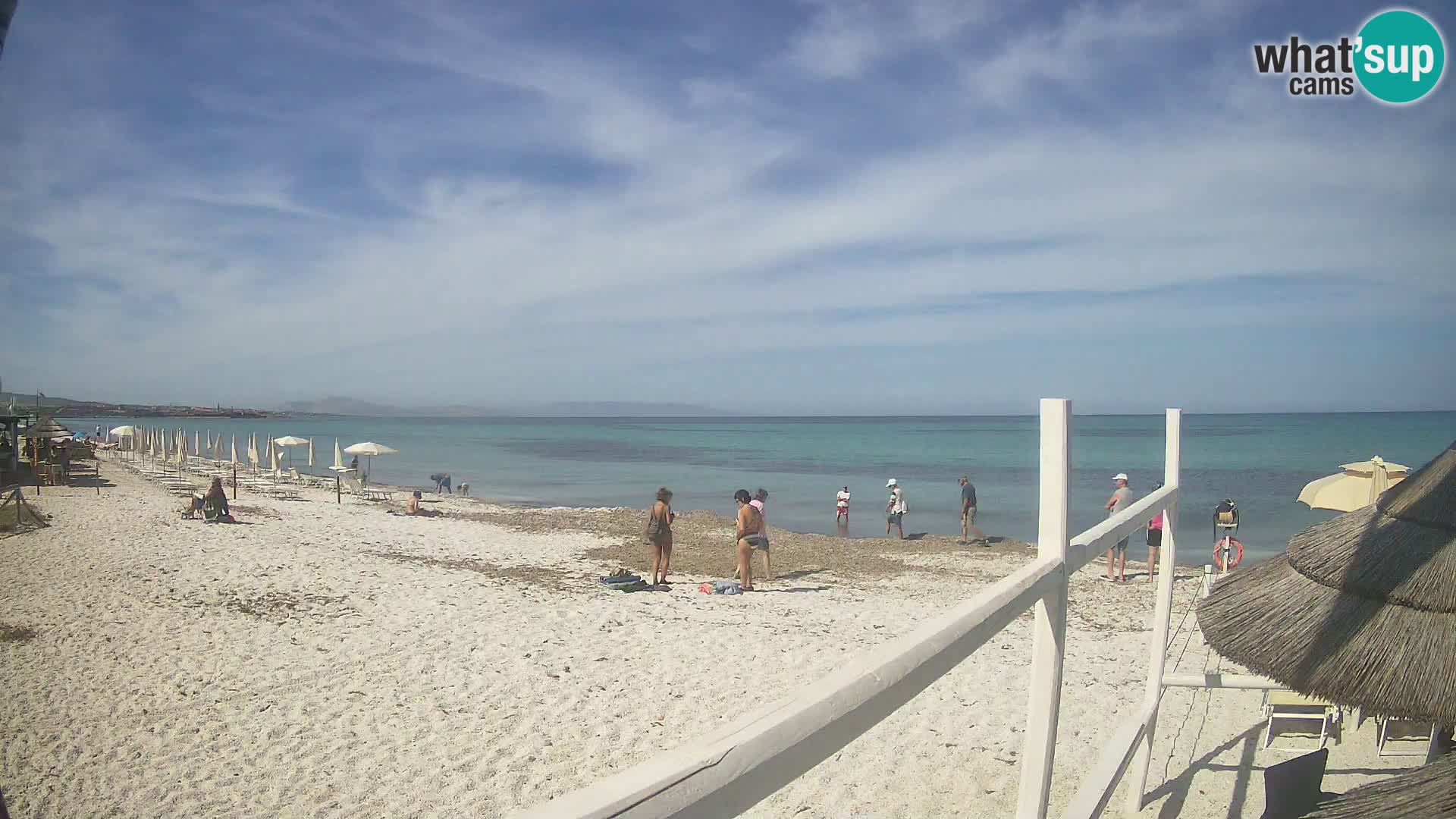Strand Le Saline webcam Stintino | Sardinien