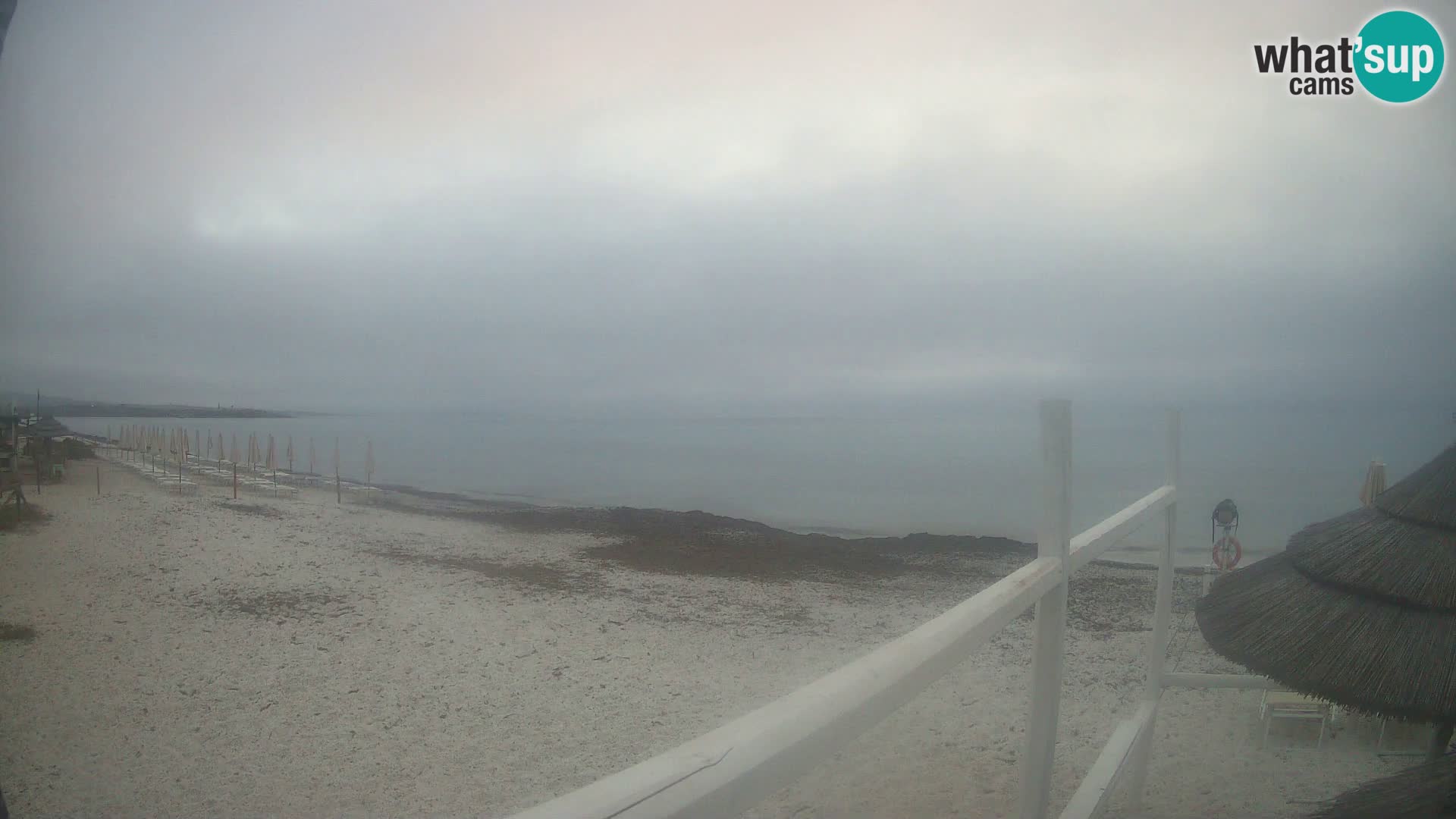 Strand Le Saline webcam Stintino | Sardinien