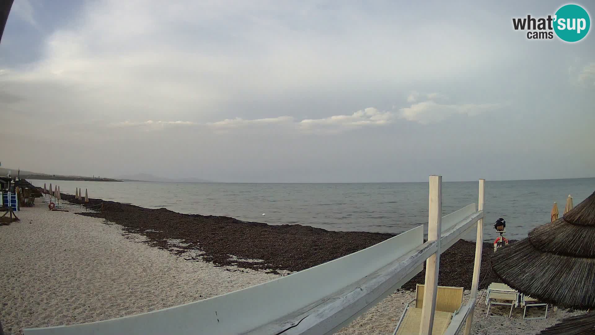 Livecam plage Le Saline Stintino | Sardaigne