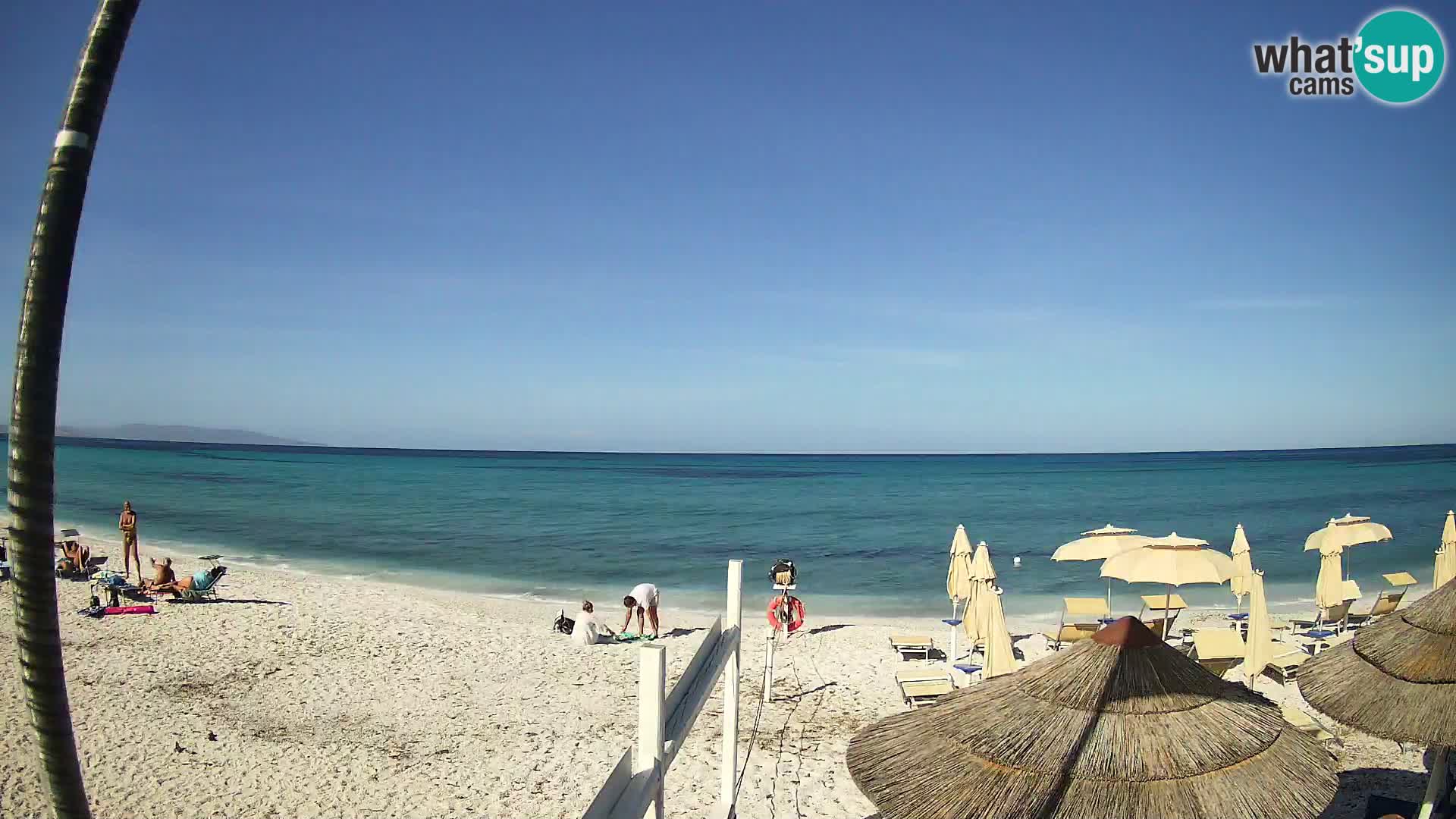Strand Le Saline webcam Stintino | Sardinien