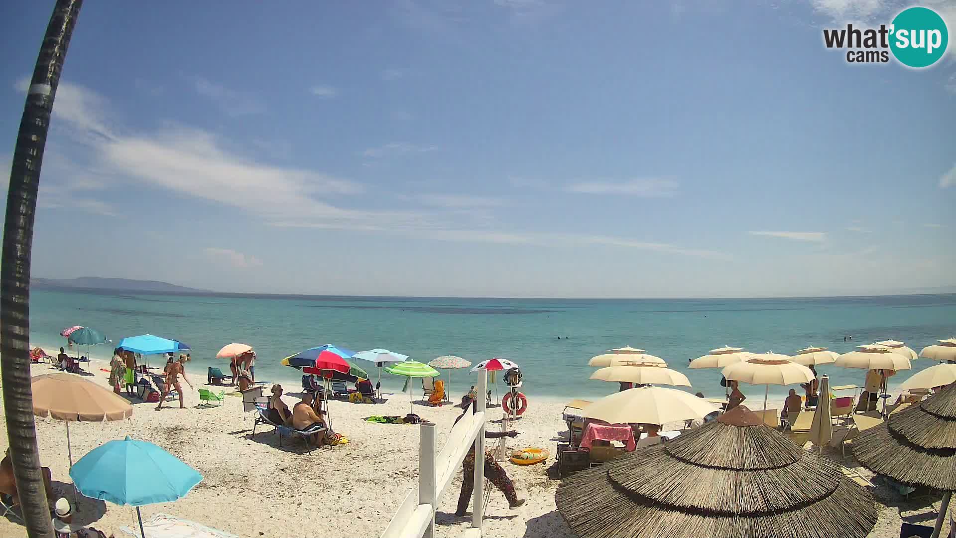 Web kamera plaža Le Saline Stintino | Sardinija