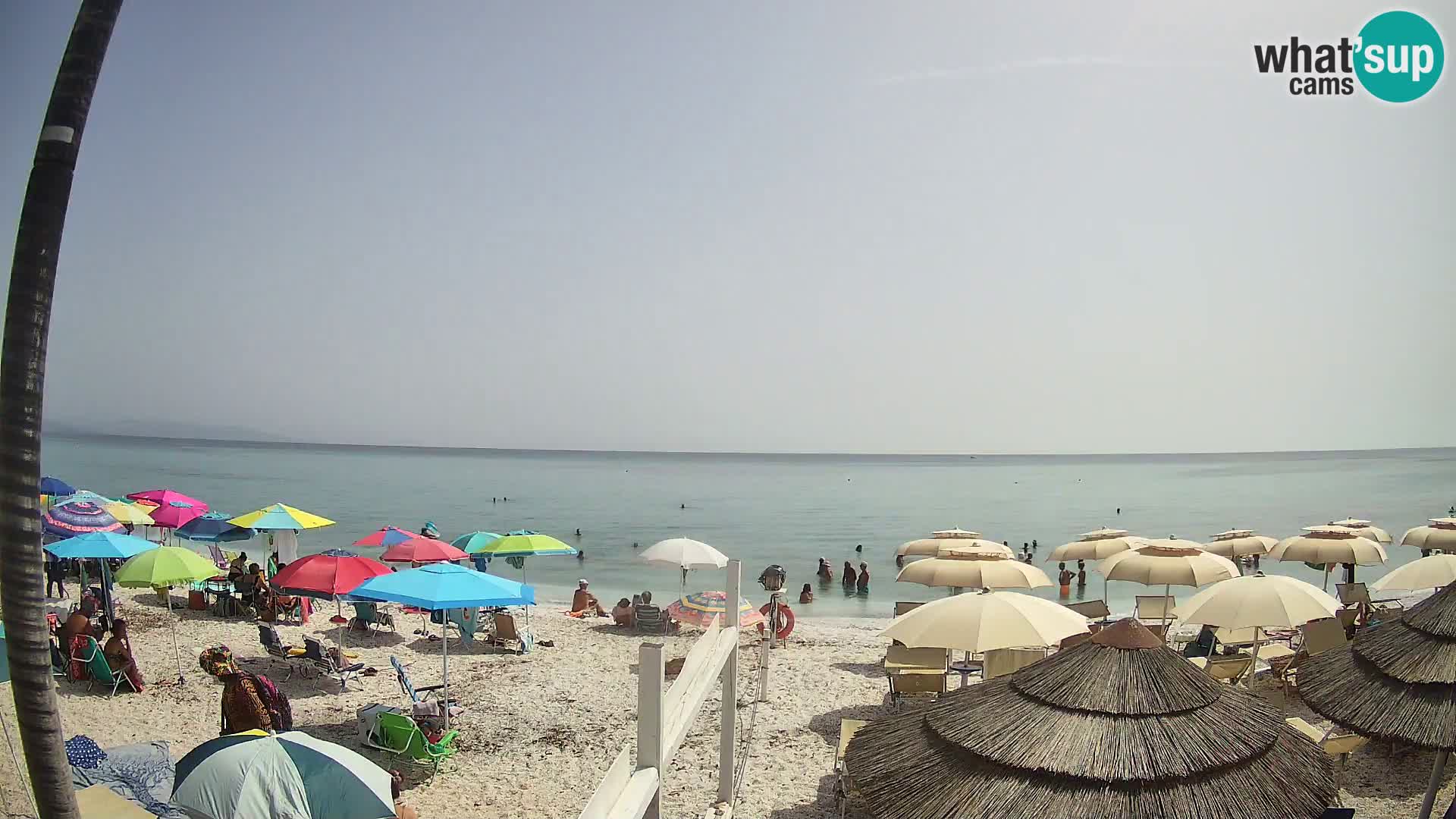 Webcam Le Saline Stintino spiaggia | Sardegna