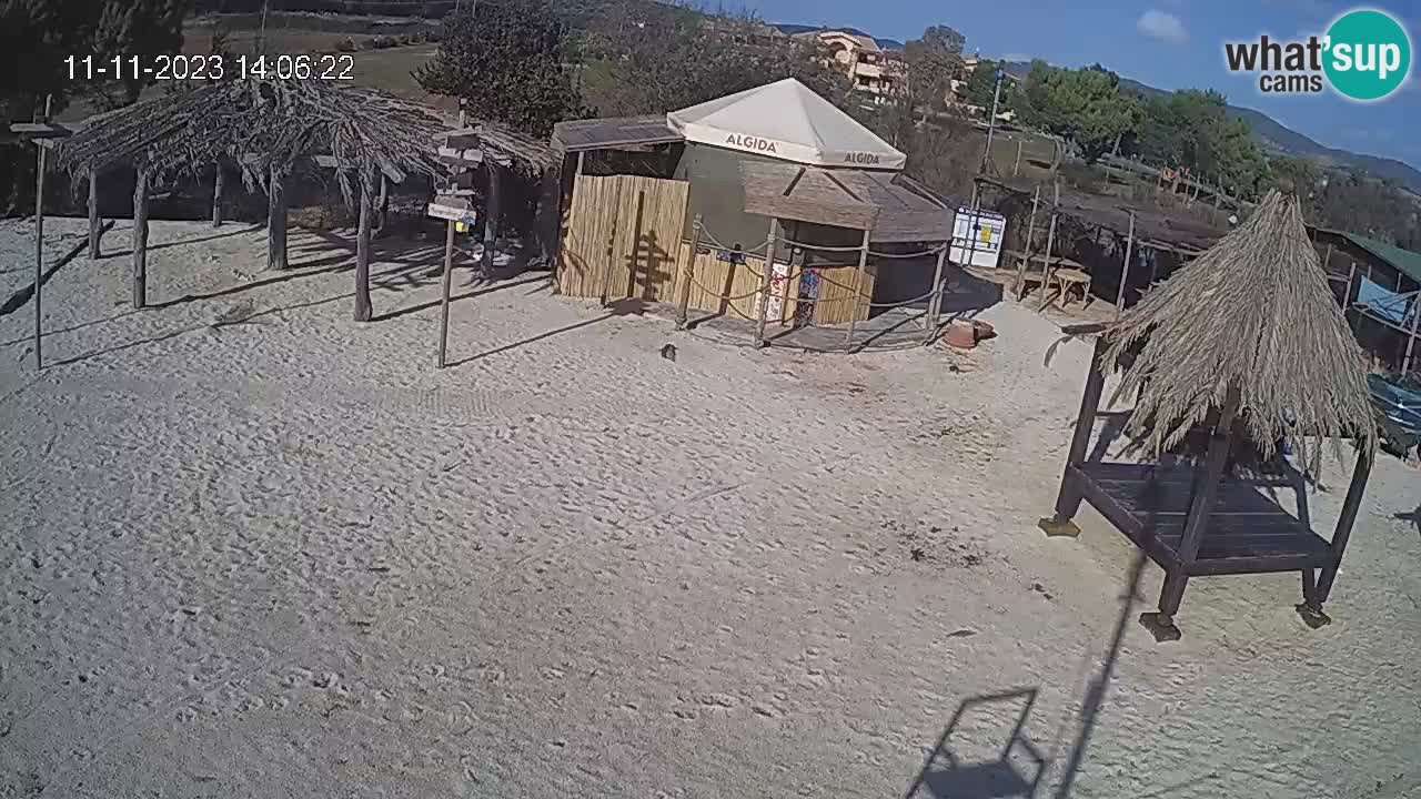 Webcam Spalato - Spiaggia Kašjuni - Spiagge Spalato - live cam Dalmazia