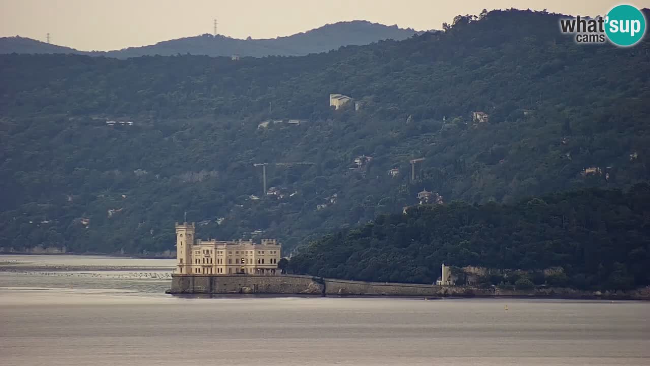 Live webcam Trieste – Panorama of the city, the Gulf, the maritime station and the Miramare castle