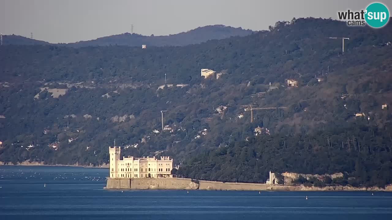 Live webcam Trieste – Panorama of the city, the Gulf, the maritime station and the Miramare castle