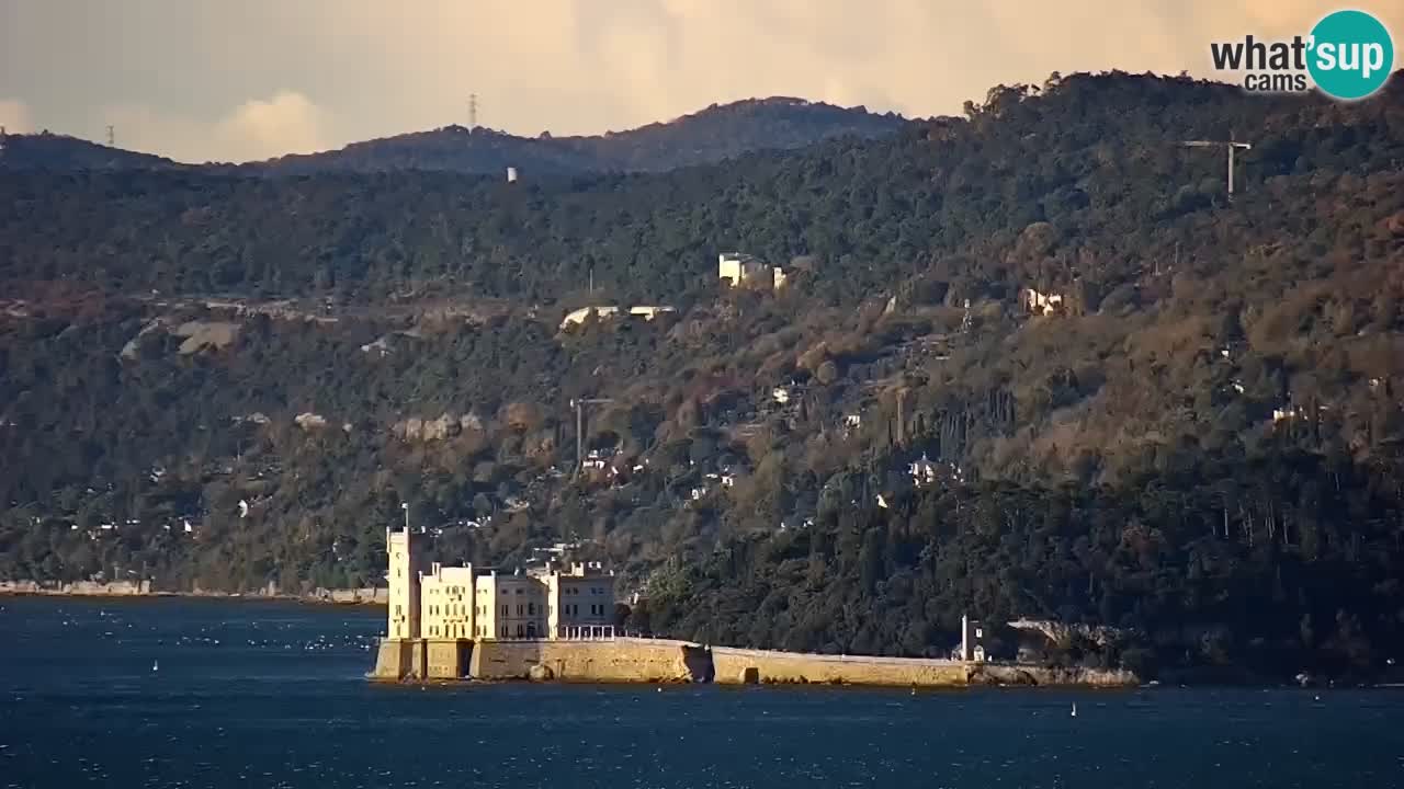 Spletna kamera v živo Trst – Panorama mesta, zaliva, pomorske postaje in gradu Miramar