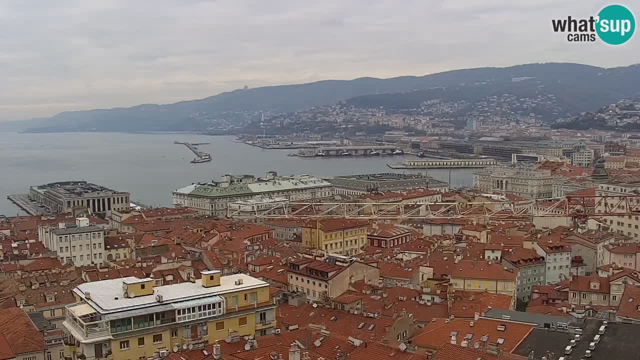 Webcam Trieste – Panorama dal Santuario Monte Grisa