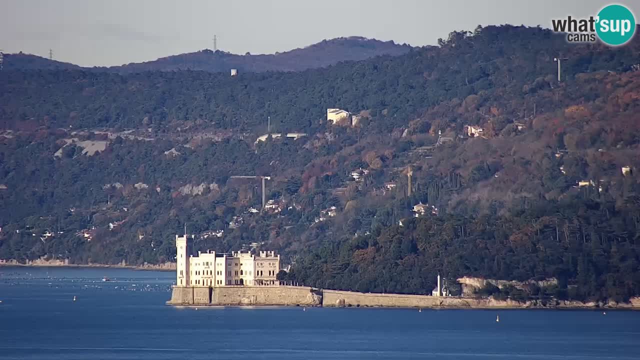 Webcam Trieste – Panorama dal Santuario Monte Grisa