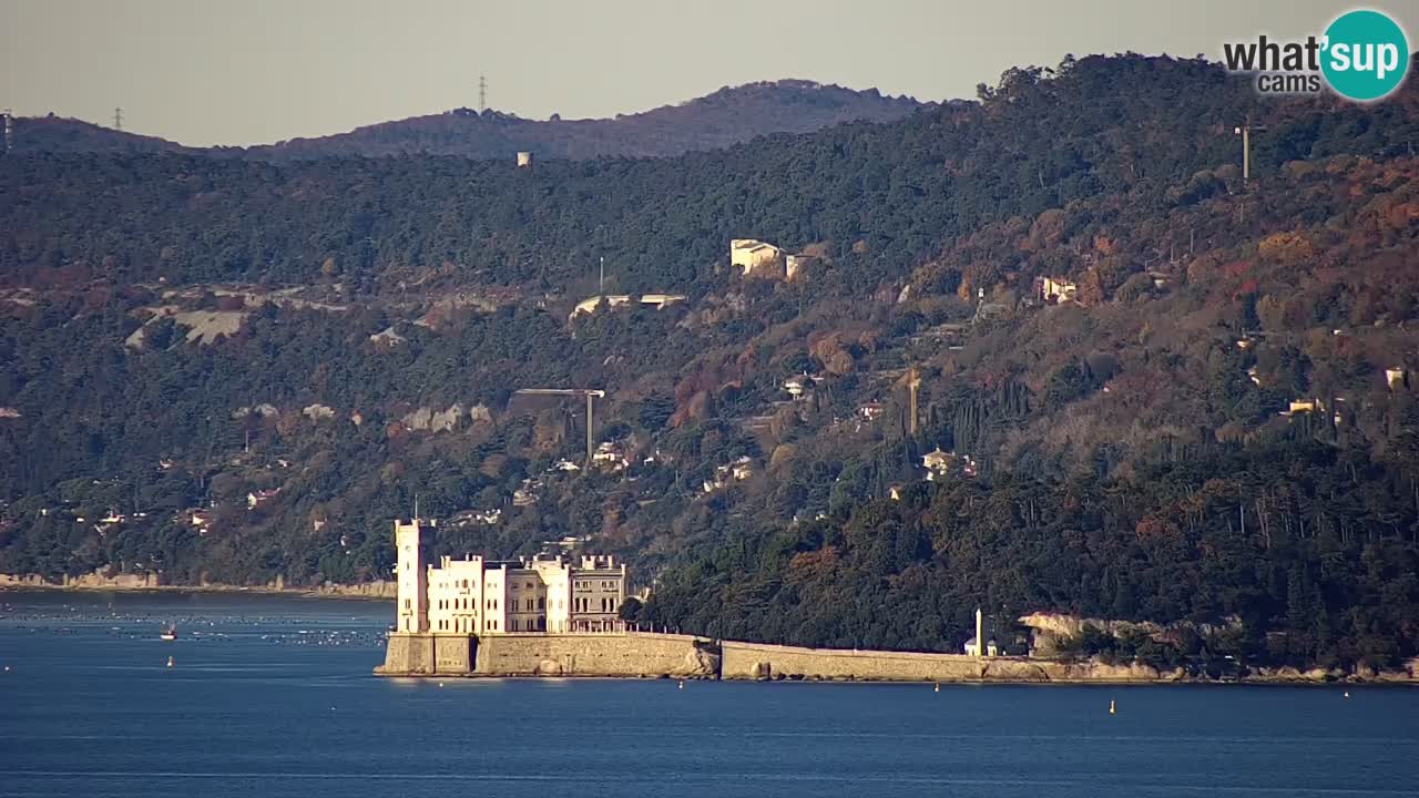 Webcam en vivo Trieste, ciudad, golfo, puerto y castillo de Miramare