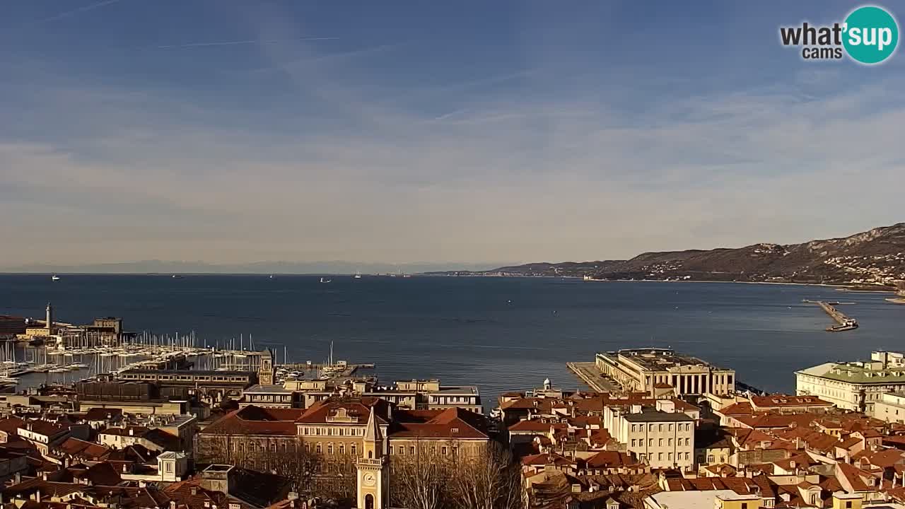 Live webcam Trieste – Panorama of the city, the Gulf, the maritime station and the Miramare castle